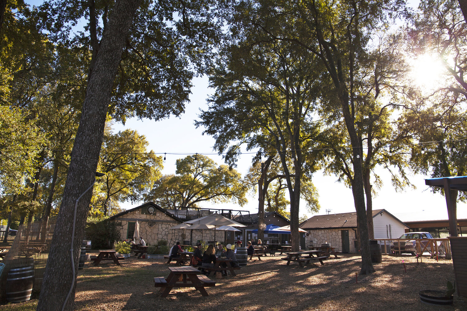 The backyard seating area at Batch, one of the best breweries in Austin.