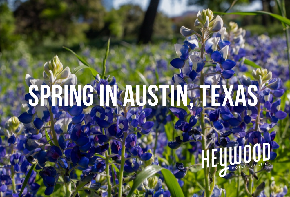 Heywood Hotel, Boutique Hotel Austin, Texas - Spring in Austin, Texas